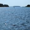 images/Schweden/Schweden 2010/IMG_0031.jpg